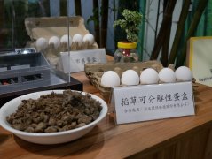 稻秆可以做什么做蛋盒吗？磨菇菌废料变身种植草莓的好土