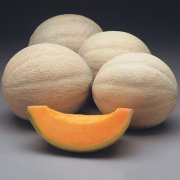 雅典娜哈密瓜的特点有哪些？雅典娜哈密瓜苗抗病性成熟时间
