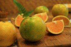 梦田生态农园的红江橙有机种植特点？红江橙病虫害怎么防治