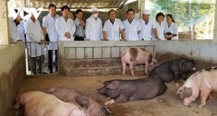 越南有机农产品销往全球180个国家