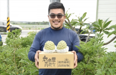 青农李俊仪友善环境草生栽培 成功行销台东有机释迦